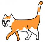 ���� ���������� ������� 