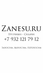 Zanesu.ru, 