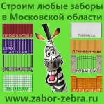 Zabor Zebra  , 
