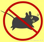 ����� ��������������� ���...