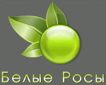 IFC-Group, 