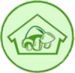 ��� "������� ���", ��