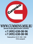 Cummins-msk, ИП