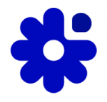 ROMASHKA MEDIA, ���
